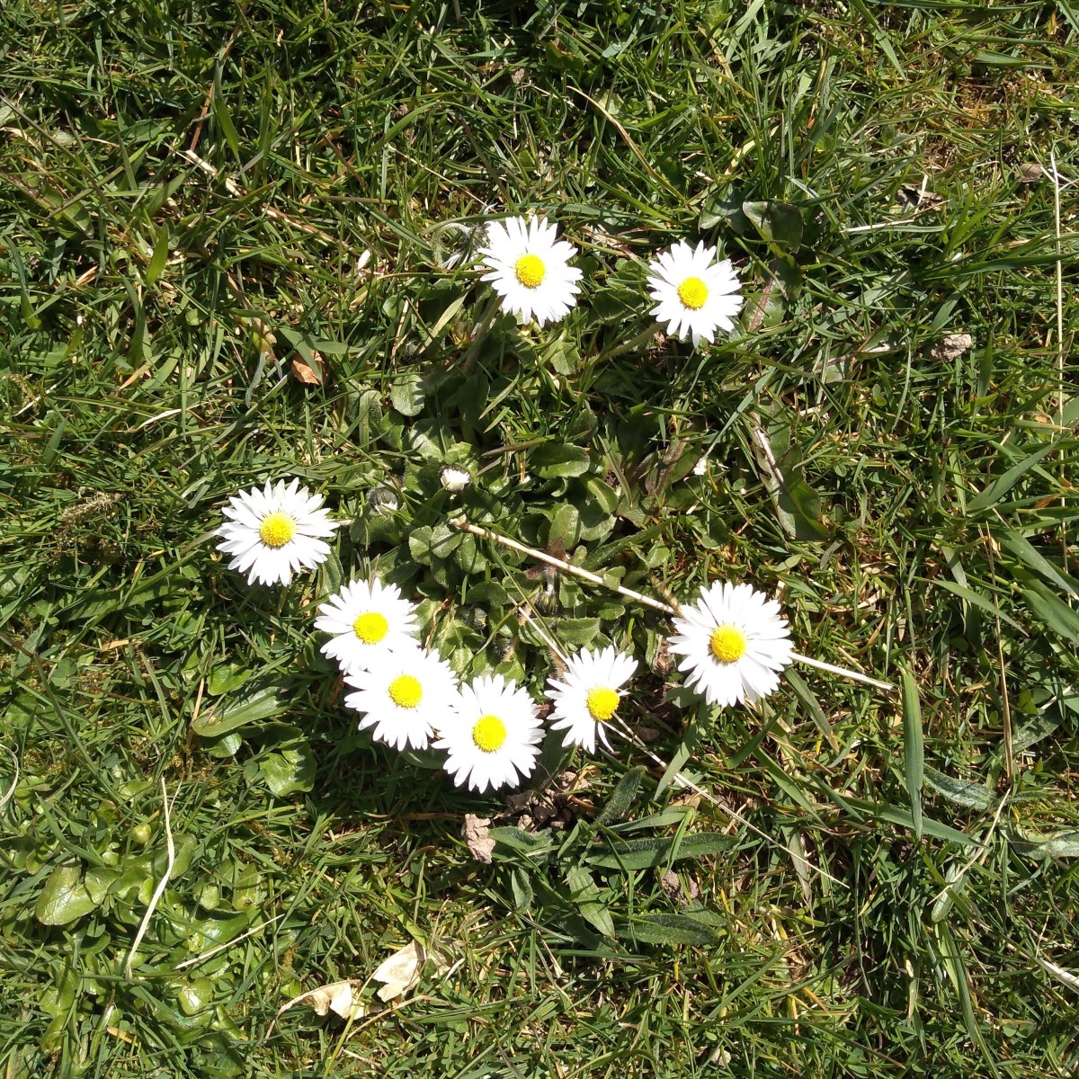 Transform Your Year: 4-Part Yoga Series in Milford on Sea